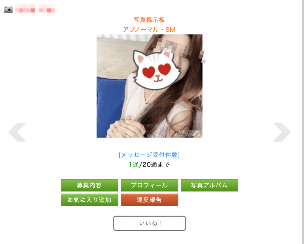 PCMAXの掲示板。ハプバーフレンド募集_2