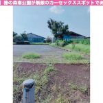 【埼玉】榛の森南公園が無敵のカーセックススポットである理由