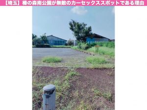 【埼玉】榛の森南公園が無敵のカーセックススポットである理由