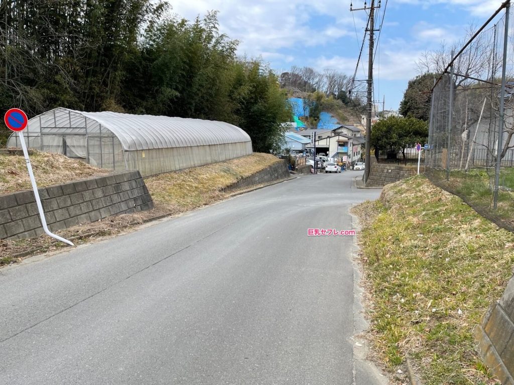 【写真あり】都内でバレないカーセックススポットを教える(よみうりランド付近)