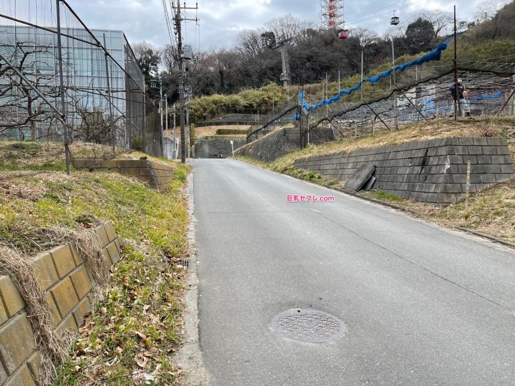 【写真あり】都内でバレないカーセックススポットを教える(よみうりランド付近)2