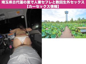 埼玉県古代蓮の里で人妻セフレと数回生外セックス【カーセックス情報】