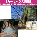 【茨城カーセックス情報】北利根北公園の駐車場で露出目的のカップルを発見