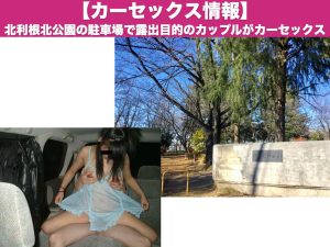 【茨城カーセックス情報】北利根北公園の駐車場で露出目的のカップルを発見