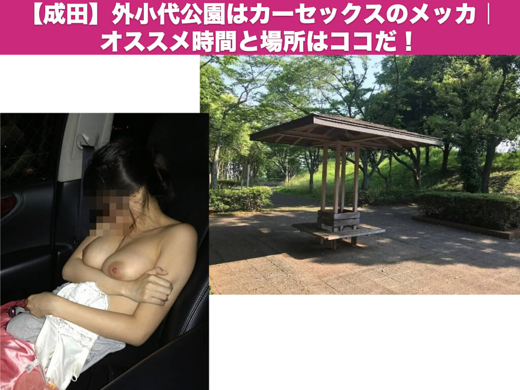 千葉 成田のカーセックスは外小代公園が最強！おすすめ時間と場所を詳しく解説
