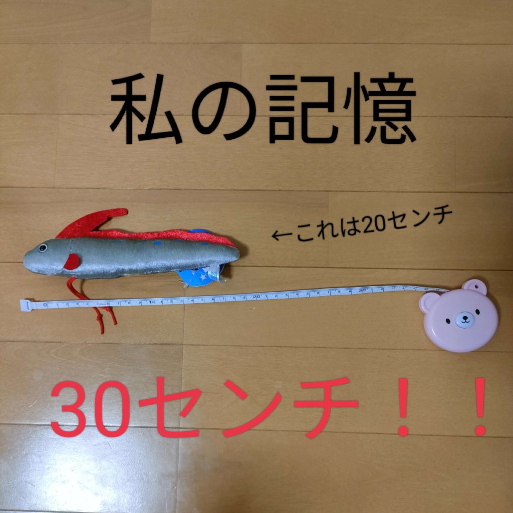 30cmの巨根くんとセックス