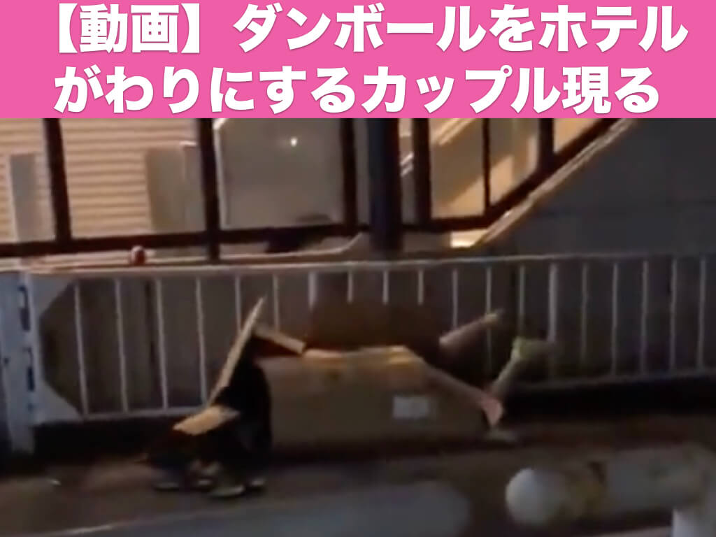 【動画】ダンボールをホテルがわりにするカップル現る